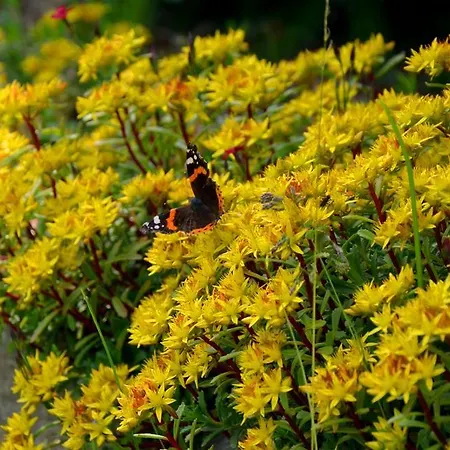 Zillertal Герлос
