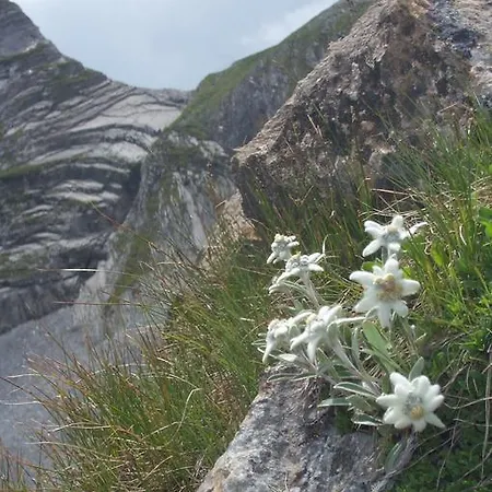 Гостевой дом Zillertal 2*